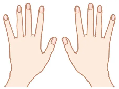 きれいな爪、健康な爪、